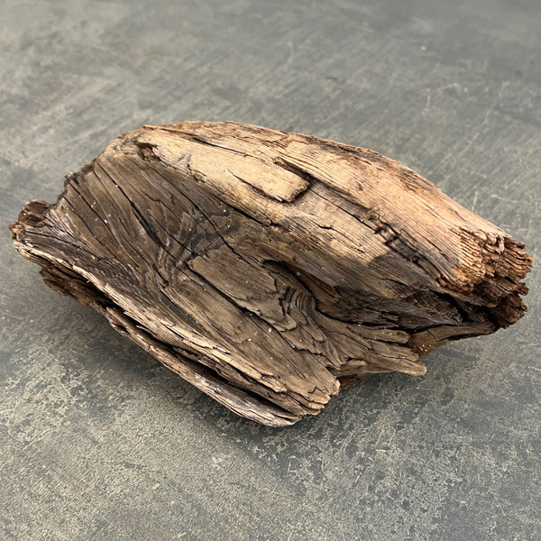 熊野の天然流木・中サイズ20～30cm