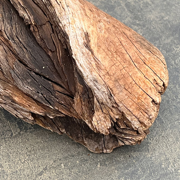 熊野の天然流木・中サイズ20～30cm