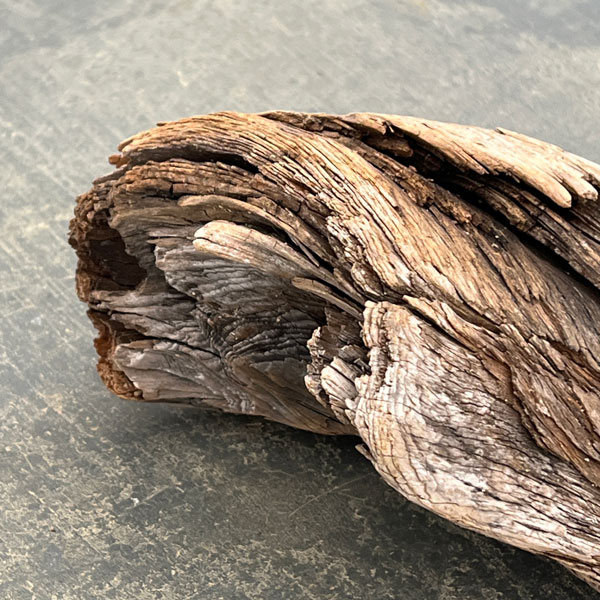 熊野の天然流木・中サイズ20～30cm