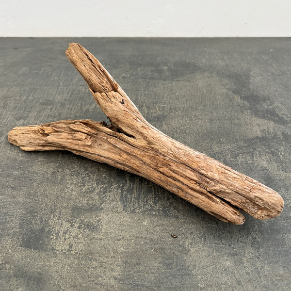 熊野の天然流木・大サイズ30～40cm