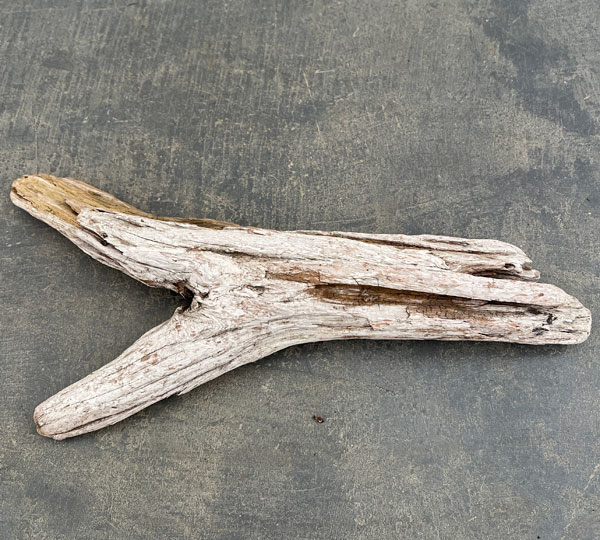 熊野の天然流木・大サイズ30～40cm