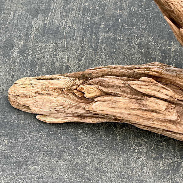 熊野の天然流木・大サイズ30～40cm