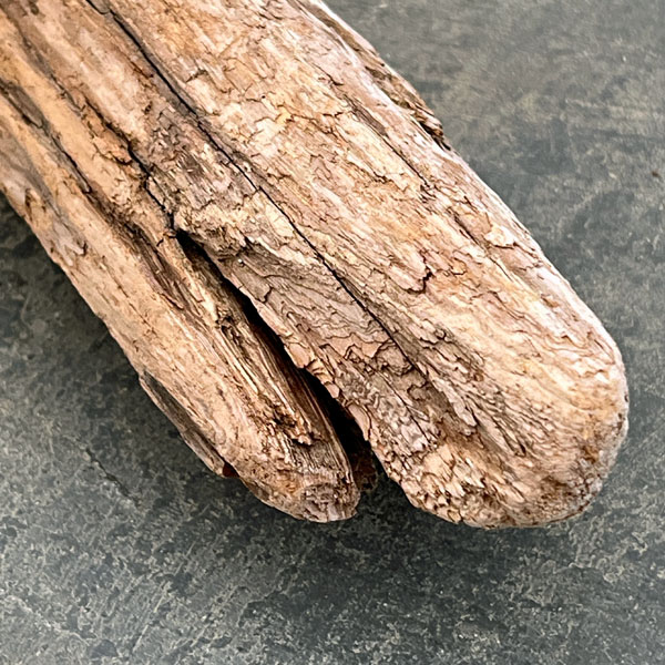 熊野の天然流木・大サイズ30～40cm