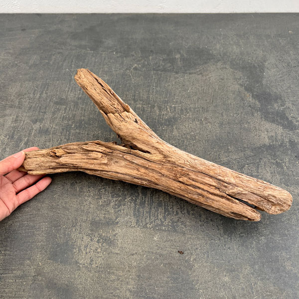 熊野の天然流木・大サイズ30～40cm