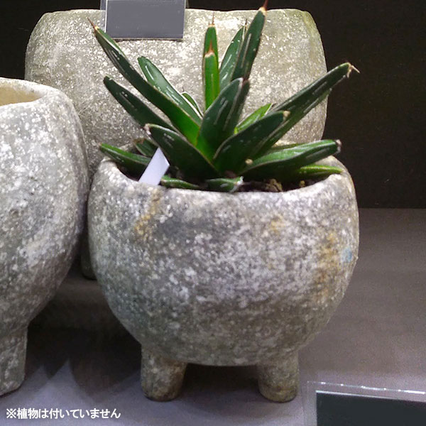 園芸ネット本店｜カリストボウル脚付S 直径12.5cm×高さ14cm（セメント