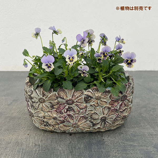 ペタルポット PP-5 (幅20cm×奥行9.5cm×高さ10.5cm)