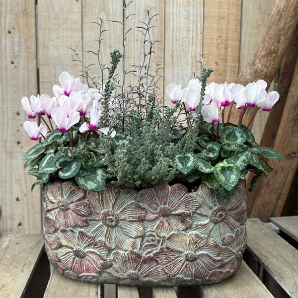 ペタルポット PP-5 (幅20cm×奥行9.5cm×高さ10.5cm)