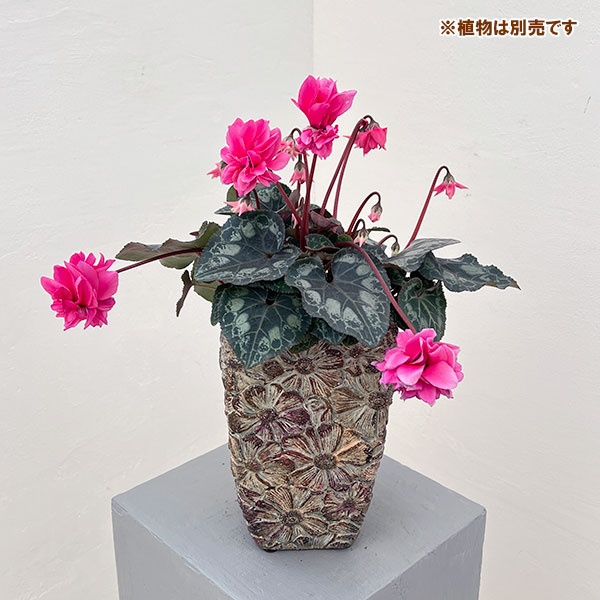 ペタルポット PP-11 (幅13cm×奥行13cm×高さ20.5cm)