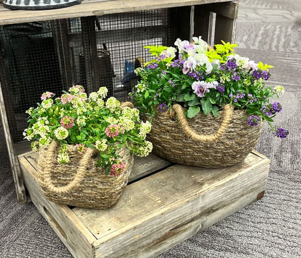 ロージュポット RP-103 （幅15.5×奥行15.5×高さ13cm）　