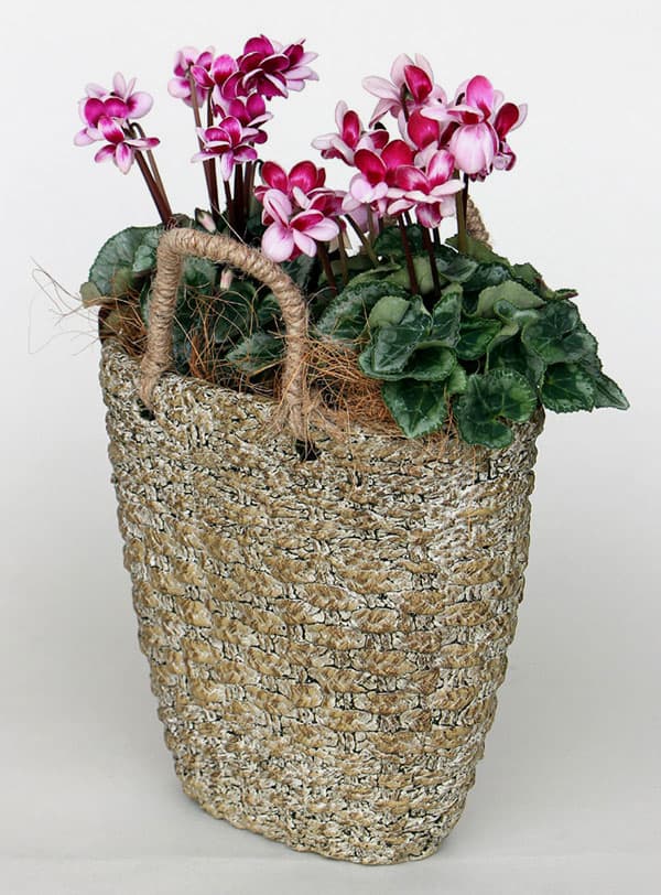 ロージュポット RP-106 （幅21.5×奥行12.5×高さ22cm）