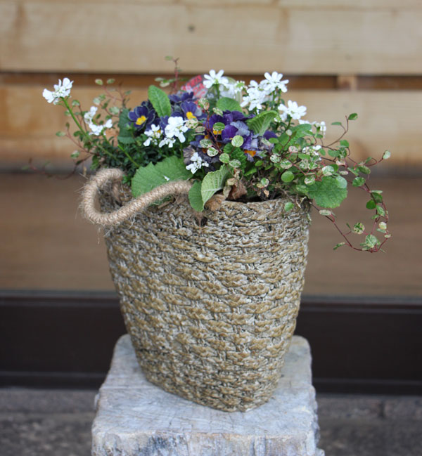 ロージュポット RP-106 （幅21.5×奥行12.5×高さ22cm）