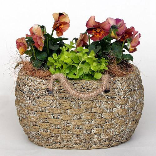 ロージュポット RP-107 (幅29×奥行14.5×高さ21cm)