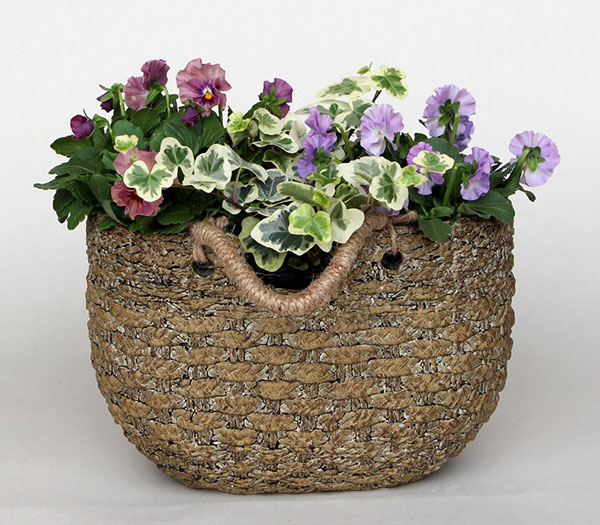 ロージュポット RP-108 (幅24.5×奥行15×高さ17cm)