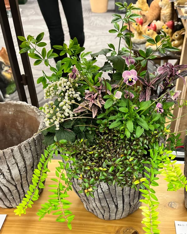 バークポット BP-1 (直径18×高さ17cm)