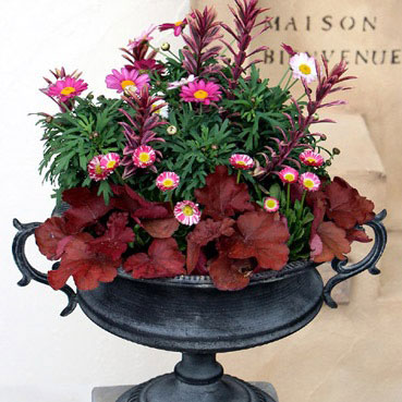 クラシカルティン T-8 （幅37.5×高さ24cm）　