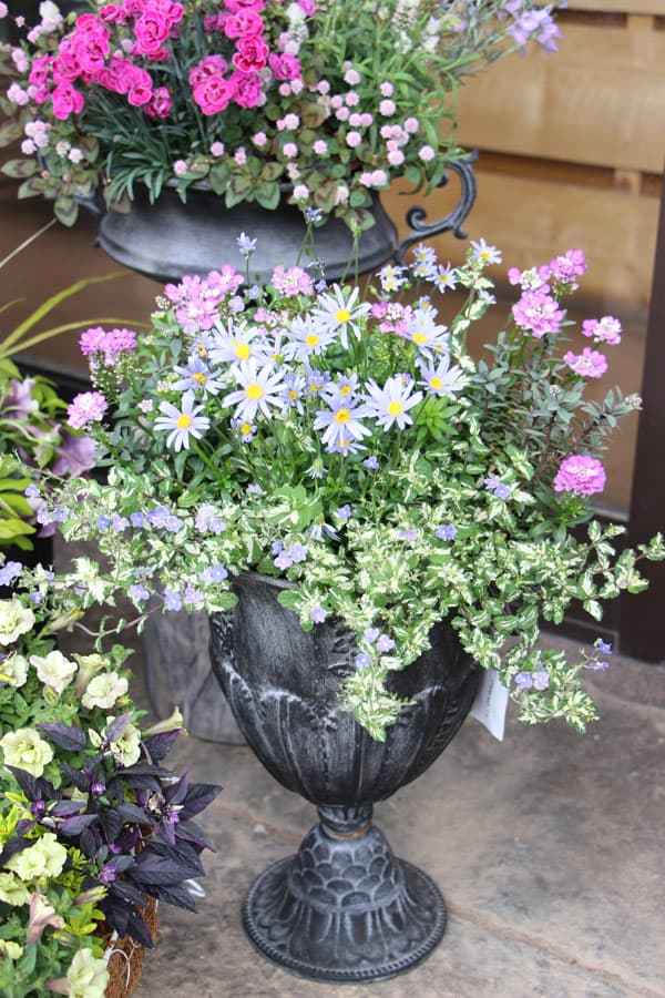 クラシカルティン T-9 (幅31×高さ36.5cm)