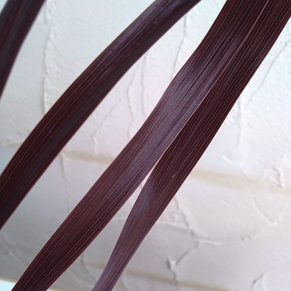 コルジリネ：レッドスター3号ポット