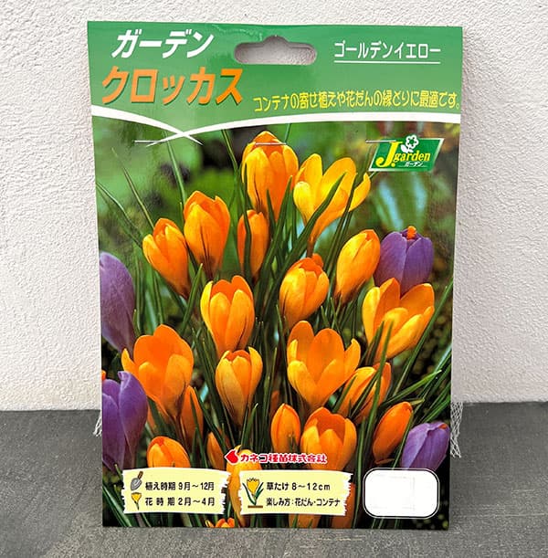 クロッカス：黄色10球入り(花壇用・ガーデンクロッカス）