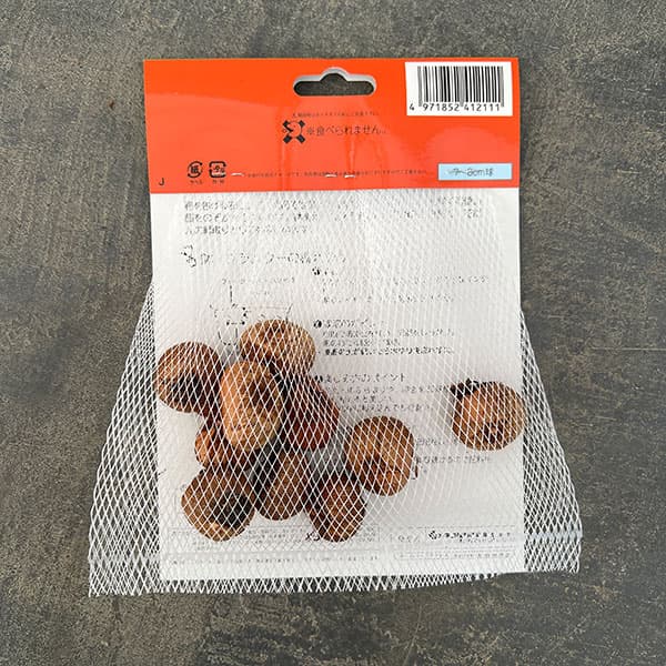 クロッカス：黄色10球入り(花壇用・ガーデンクロッカス）