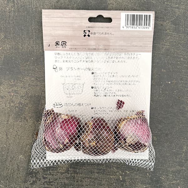 ヒヤシンス（ガーデン用）：ジャンボス 3球入り