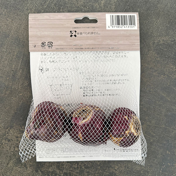 ヒヤシンス（ガーデン用）：ピンクパール 3球入り