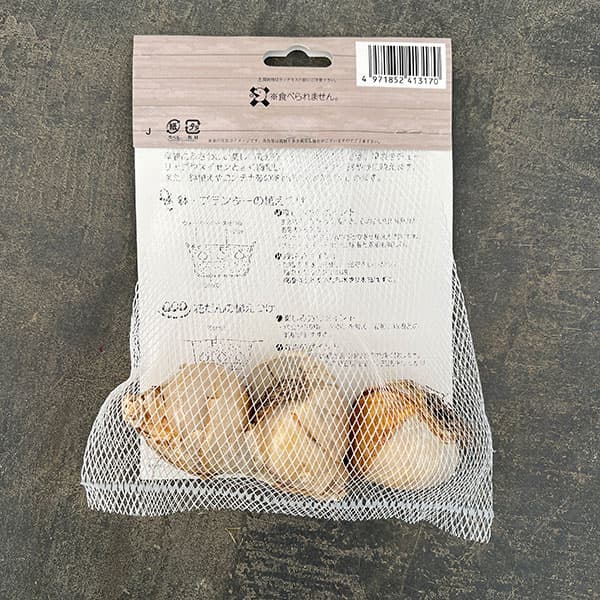 ヒヤシンス(ガーデン用):シティオブハーレム 3球入り