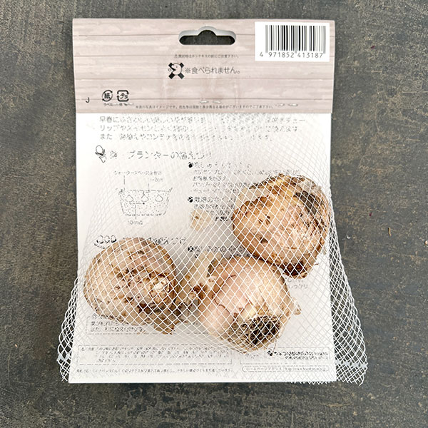 ヒヤシンス(ガーデン用):カーネギー 3球入り 2袋セット