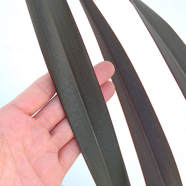 [26年1月中下旬予約]ニューサイラン銅葉7号ポット