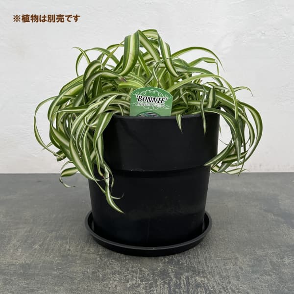 アーバンプランツポットソリッド（チャコール）直径19.5×高さ18.5cm　81003