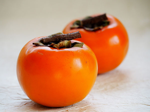 カキ（柿）：ゼンジマル（禅寺丸）4～5号ポット