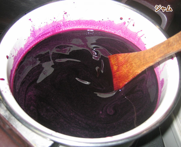 ヤマブドウ（山葡萄・山ぶどう）：一才山ブドウ3.5-4号ポット