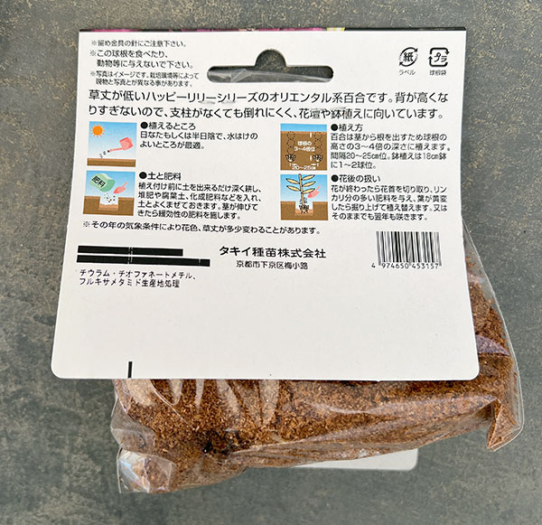 ユリ：ハッピーオリエンタルリリーサニーバハマ1球入り 2個セット