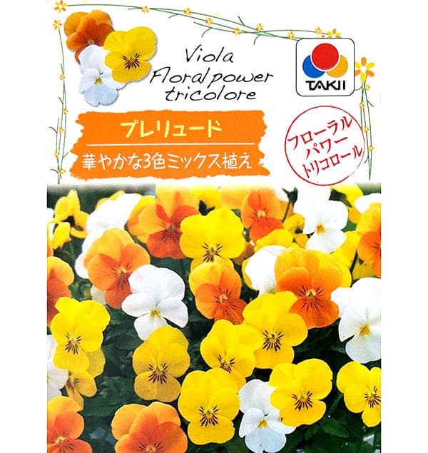 ビオラ:フローラルパワー  トリコロールプレリュード*3.5号ポット