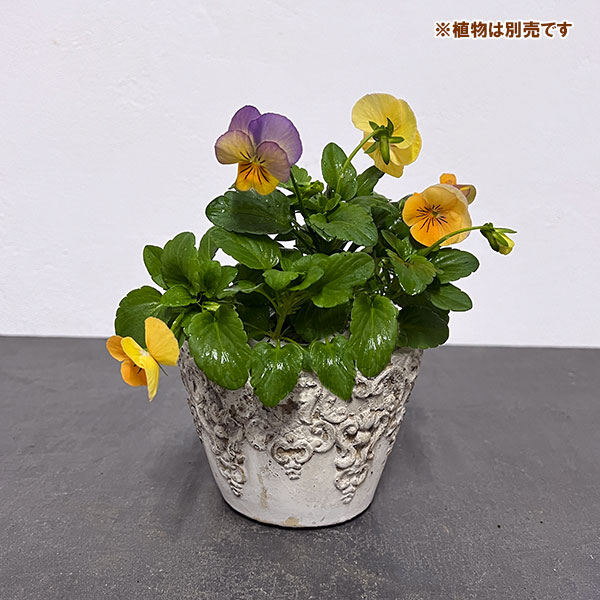 クレスト・ラウンドポット S（QB-07）