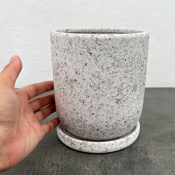 ピエドロベージュS・皿付