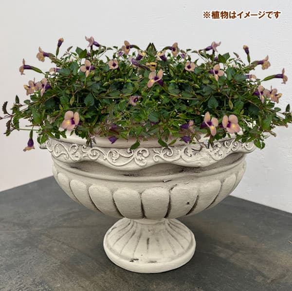 ゴブレットA-S(白)/直径31cm(GFB170SWH)