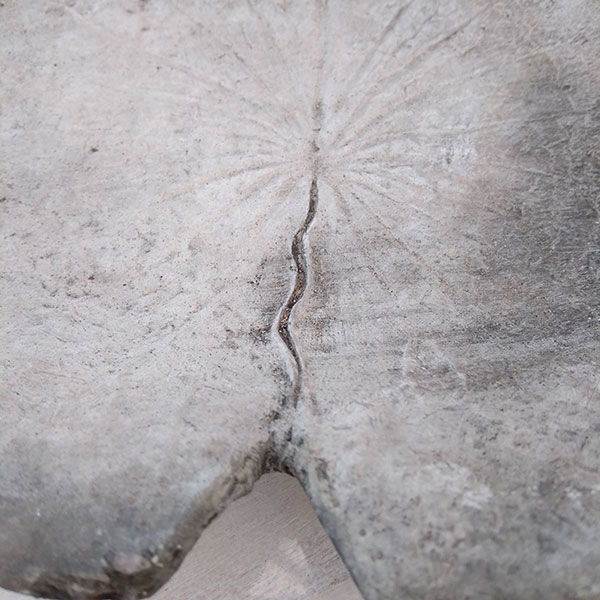 バードバス:スリーフロッグオンリーフ(554)(幅23cm)