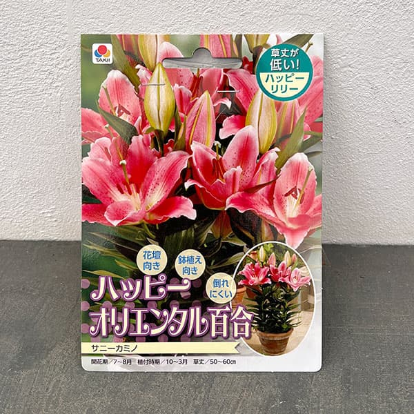 ユリ：ハッピーオリエンタルリリーサニーカミノ1球入り