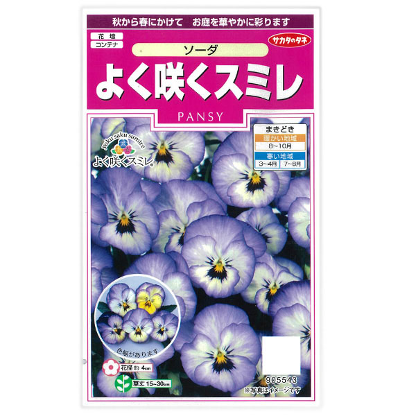 パンジー：よく咲くスミレ ソーダの種[サカタ　花タネ]