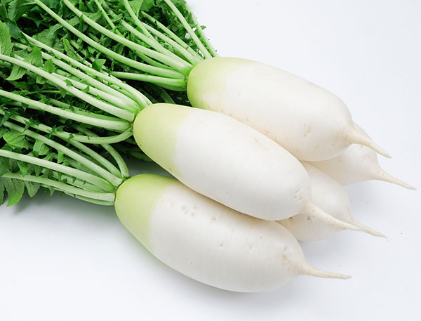 ミニダイコン種：味短歌（あじたんか）の種[野菜タネ]