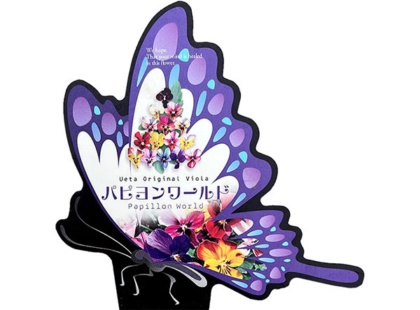 うえたコレクションビオラ:パピヨンワールド3.5号ポット