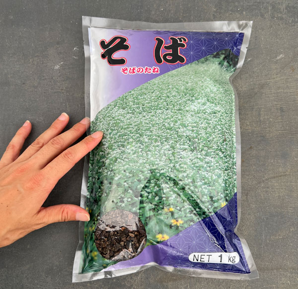 ソバ（蕎麦）：信濃1号そば　1ｋｇ袋詰め[タネ]