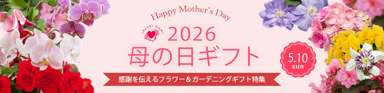 園芸ネットの母の日ギフト