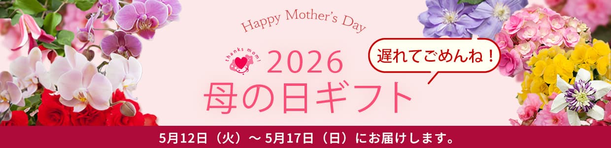 園芸ネットの母の日ギフト