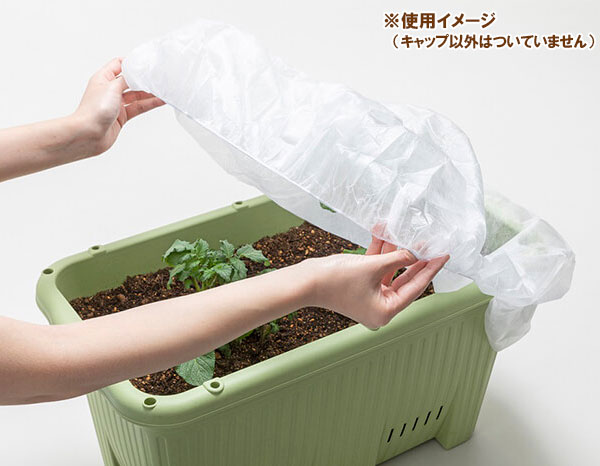 プランターキャップM 1袋(2枚入り)