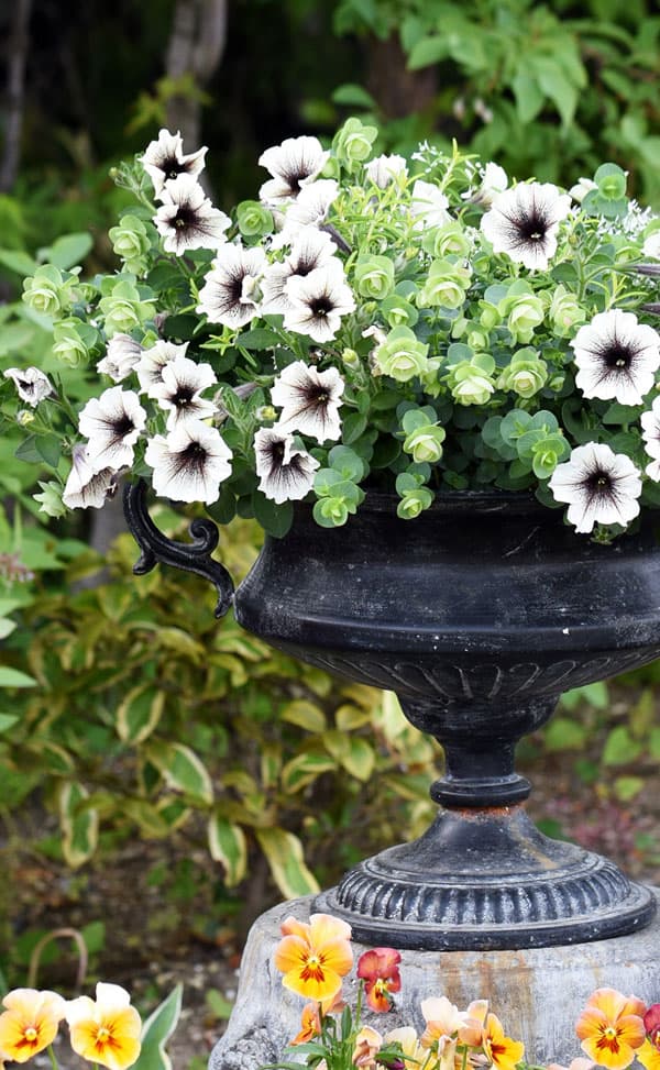 クラシカルティン T-4 (幅30×高さ20cm)