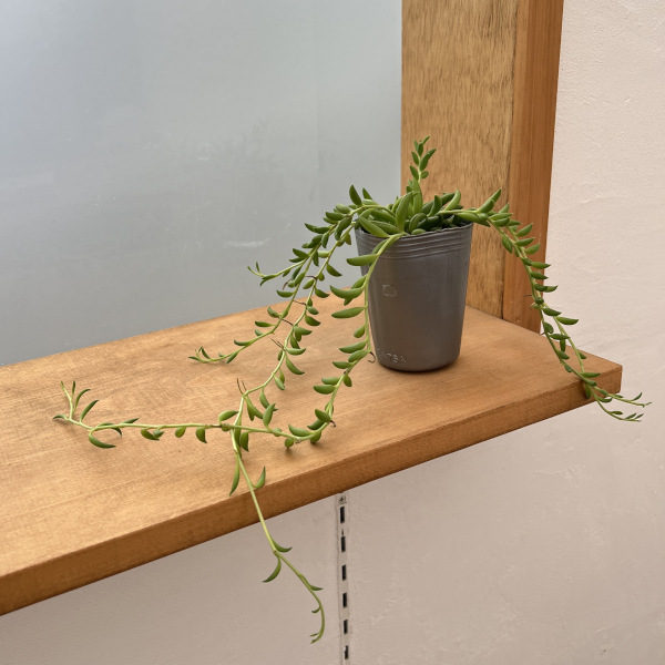 バナナネックレス 2.5号