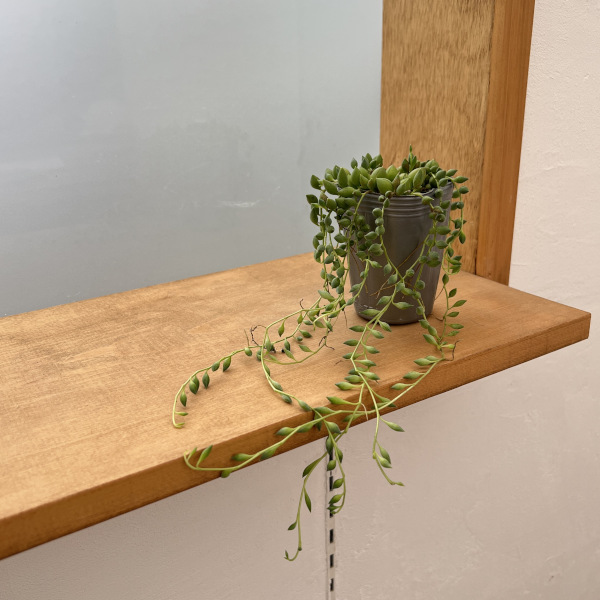 セネシオ:ピーチネックレス 2.5号