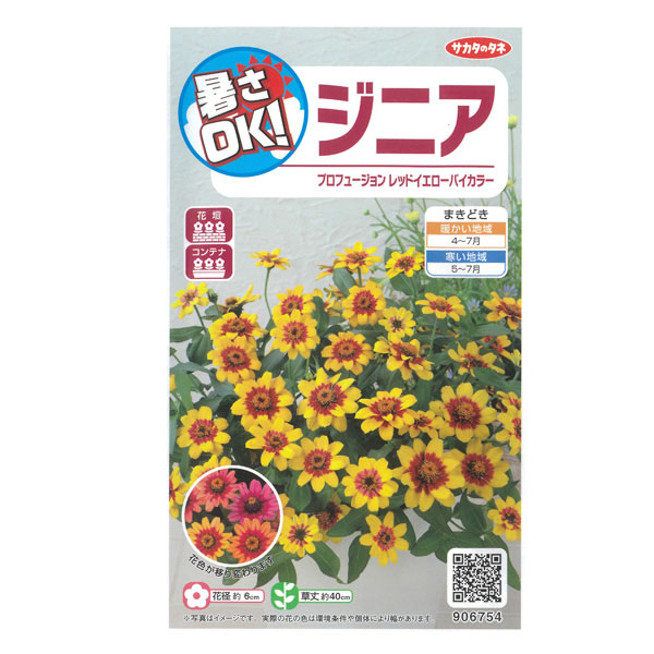 【有効期限25年10月】ジニア：プロフュージョン　レッドイエローバイカラー[花タネ]