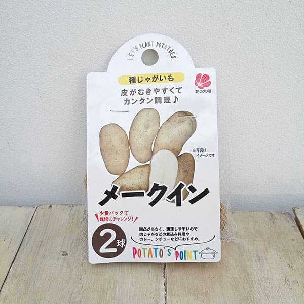 [27年1月中下旬予約]ジャガイモの種いも：メークイン2球